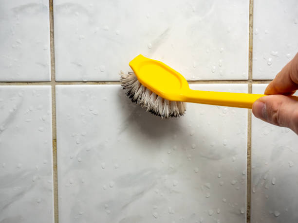 Reliable Whitesboro, TX Mold Remediation Solutions