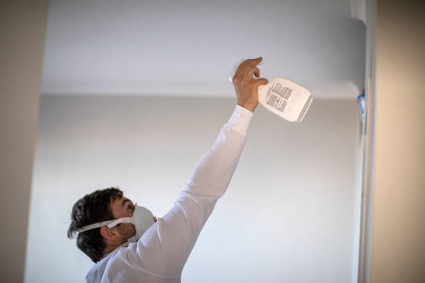 Best Commercial Mold Remediation in Whitesboro, TX