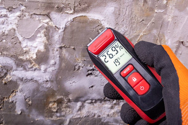 Best Insurance-Related Mold Remediation in Whitesboro, TX